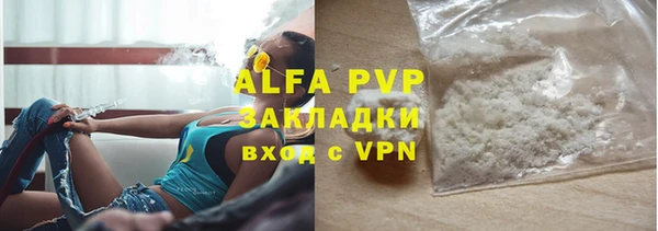 сатива Беломорск