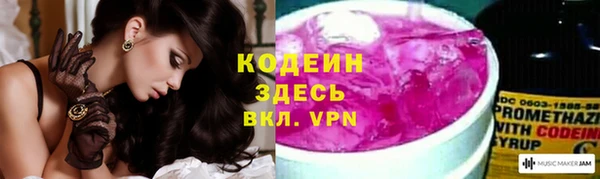 сатива Беломорск