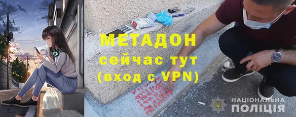 сатива Беломорск