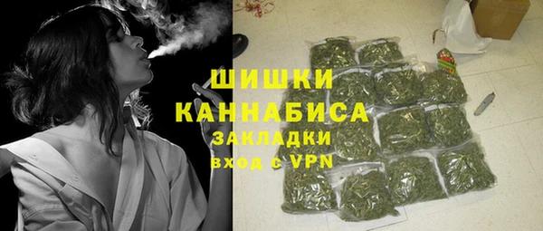 сатива Беломорск